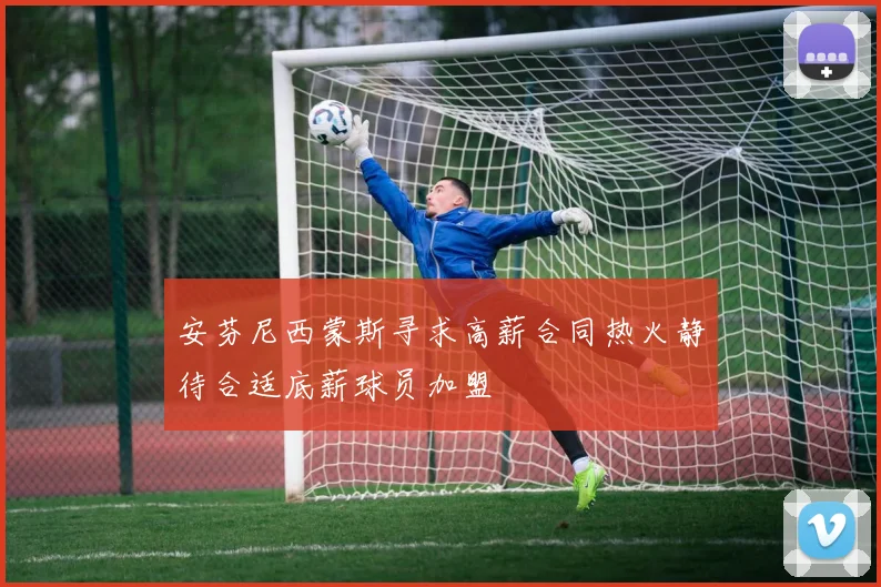 安芬尼西蒙斯寻求高薪合同热火静待合适底薪球员加盟