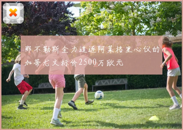那不勒斯全力追逐阿莱格里心仪的加蒂尤文标价2500万欧元